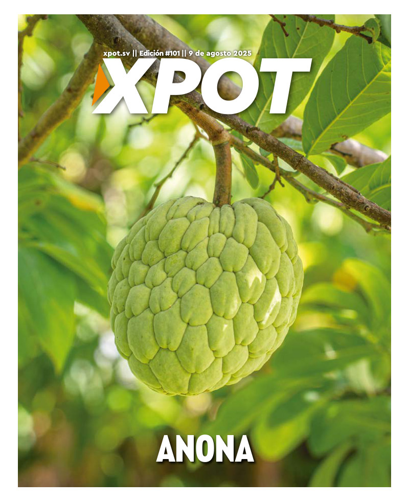 Anona