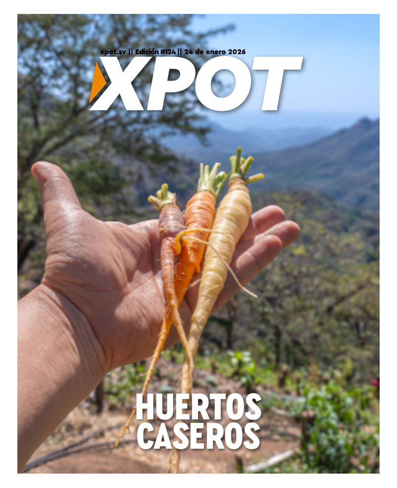 Huertos Caseros