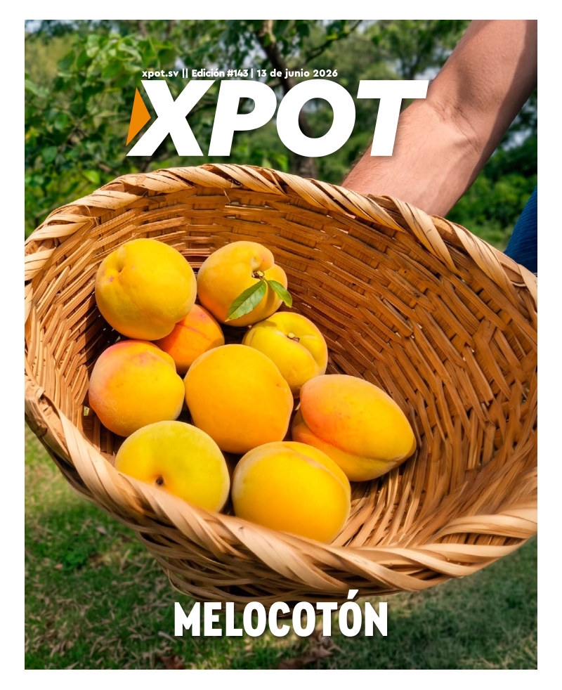 Melocotón