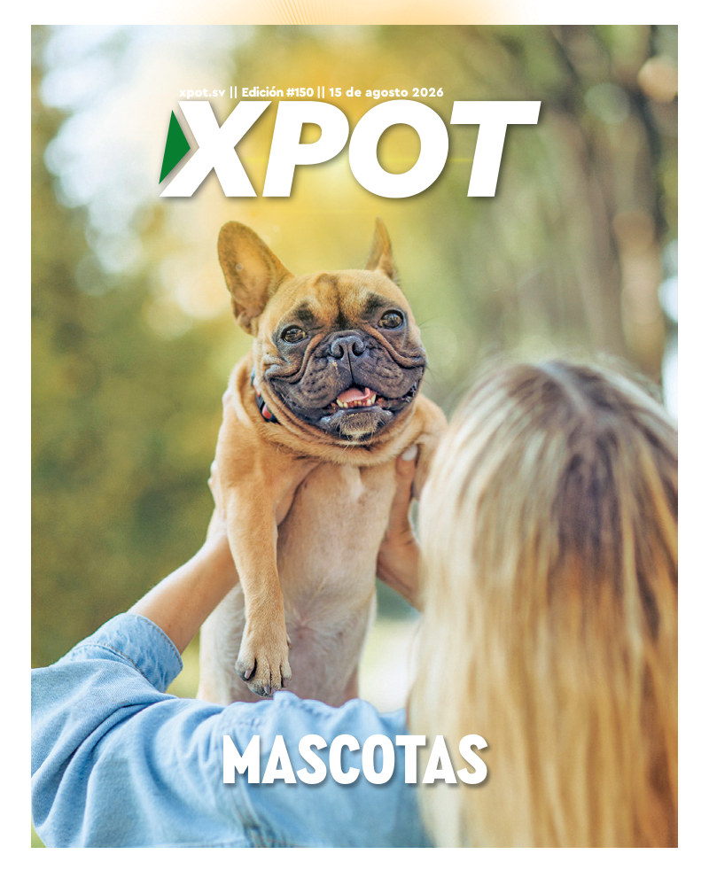 Mascotas