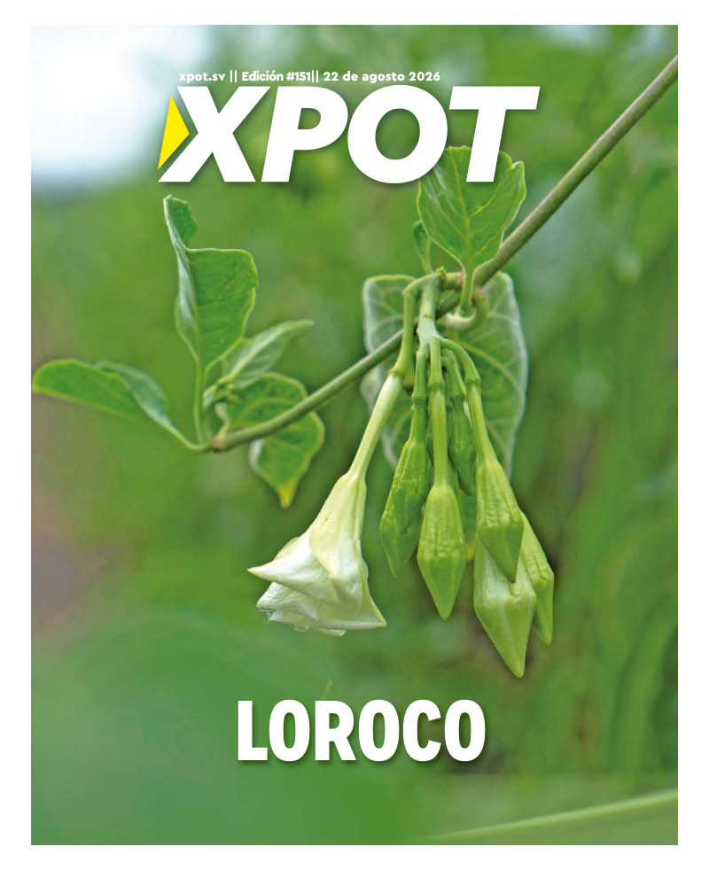 Loroco
