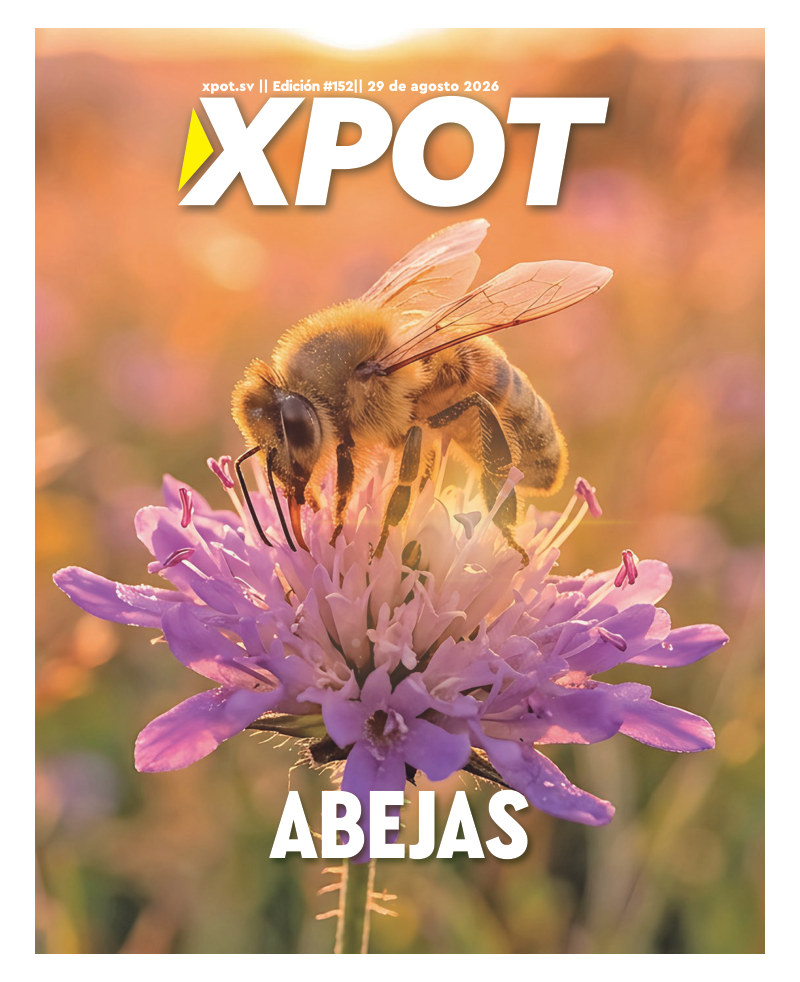 Abejas