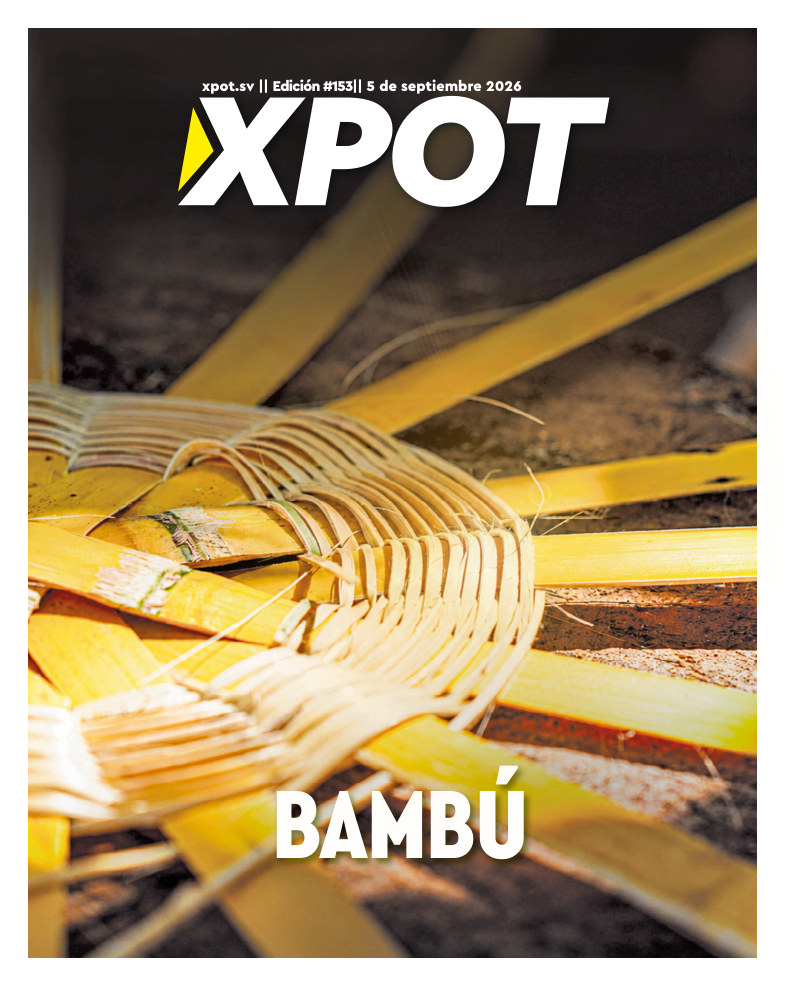 Bambú