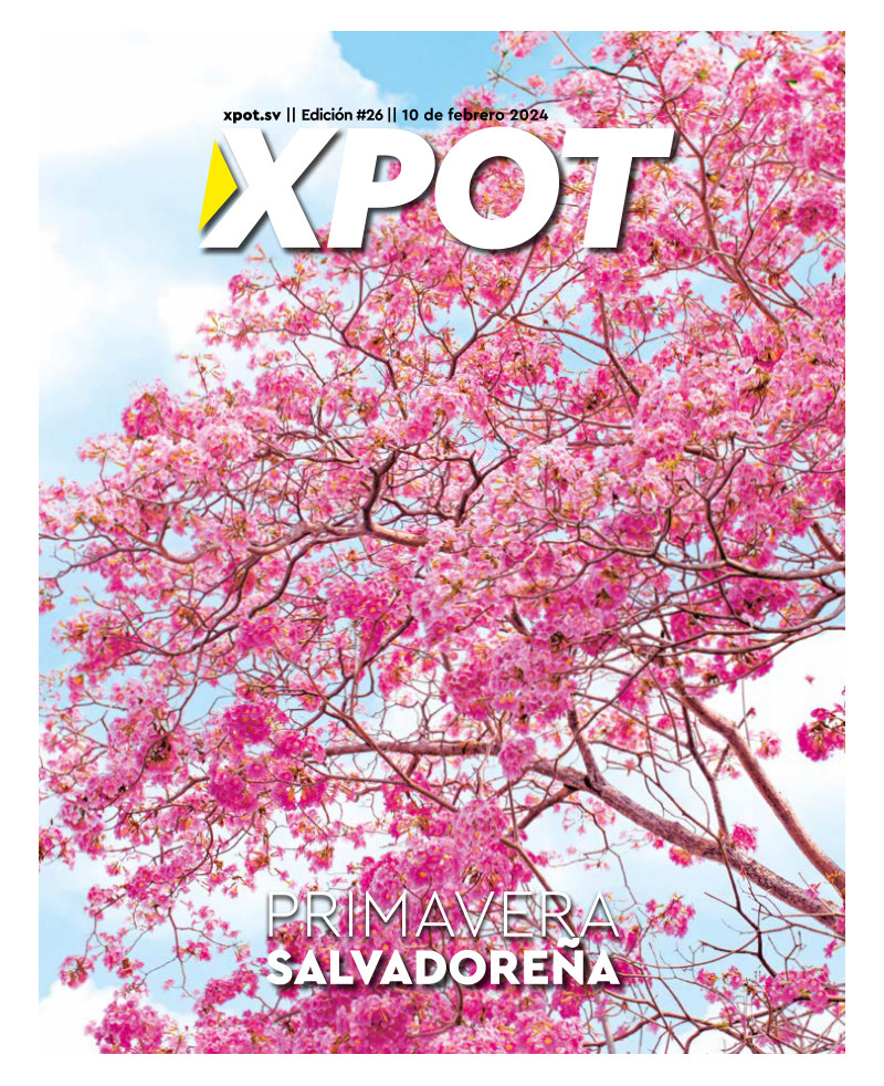 Primavera Salvadoreña