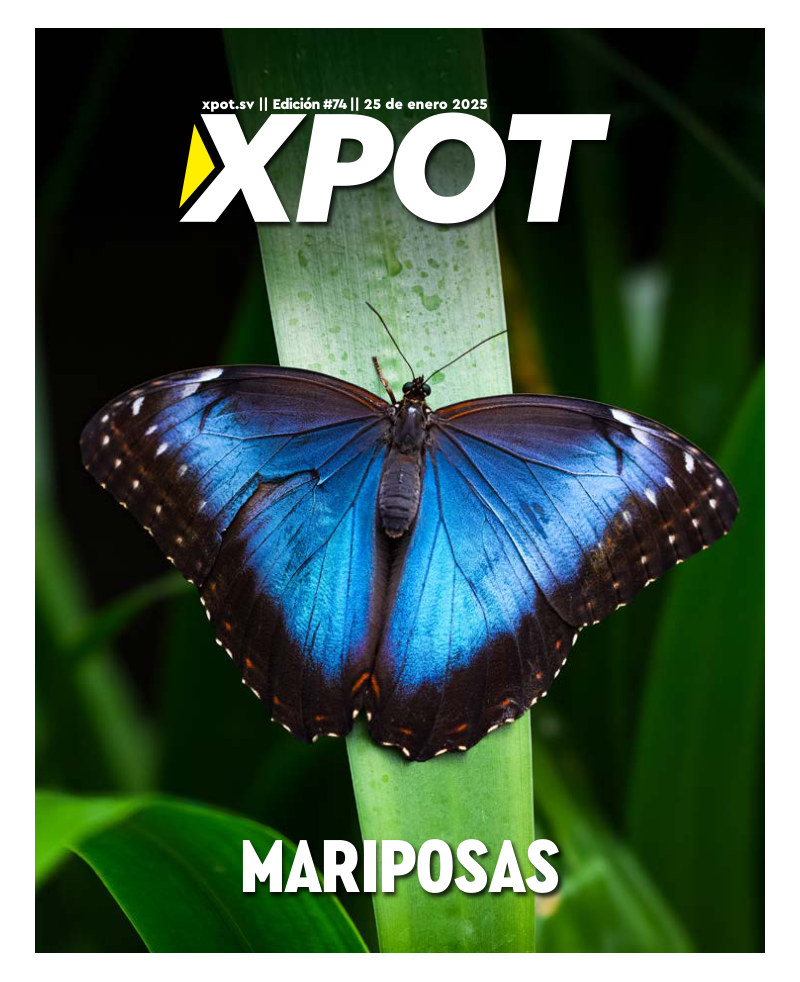 Mariposas