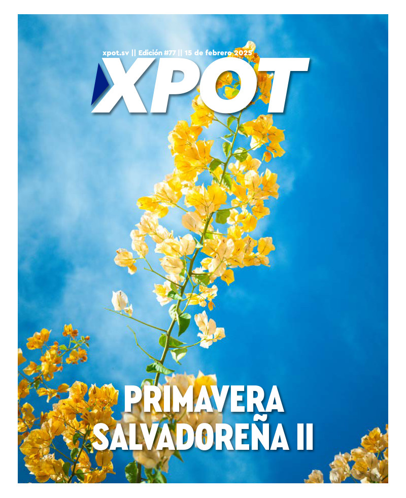 Primavera Salvadoreña II