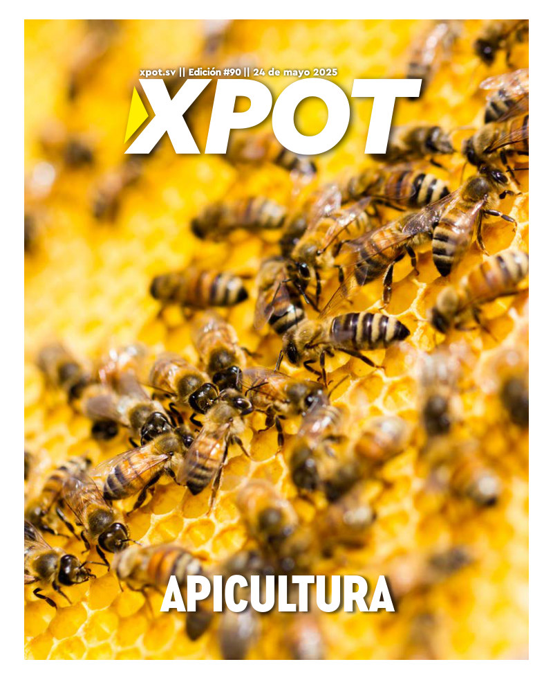 Apicultura